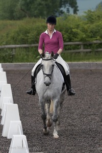 ISIS Dressage Challenge 2008